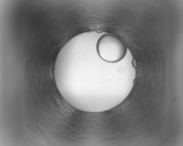 X0000075861106200609291540