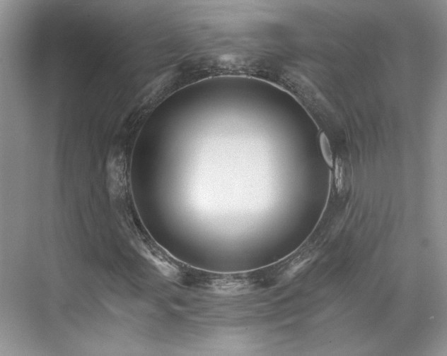 X0000075861107200609291540