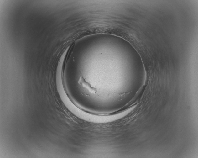 X0000075861109200609291541