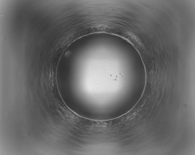 X0000075861111200609291541