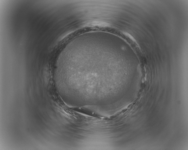 X0000075861112200609291541