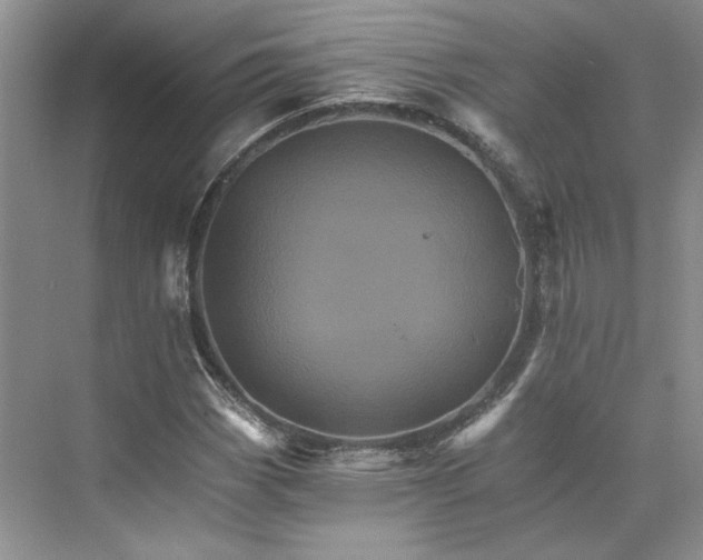 X0000075861113200609291541