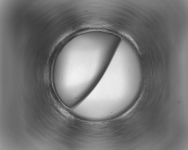 X0000075861114200609291541