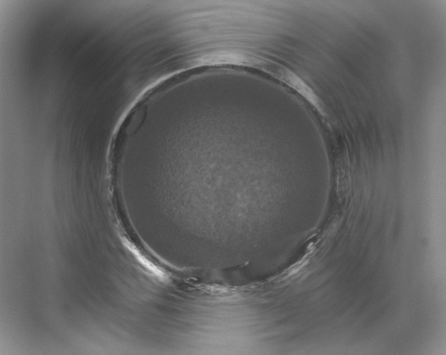 X0000075861116200609291541