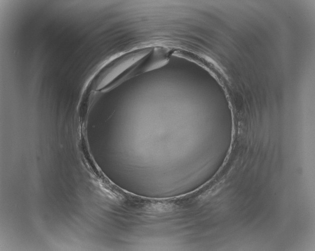 X0000075861117200609291541