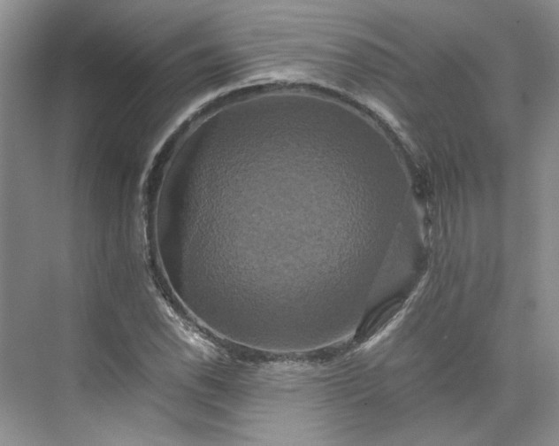 X0000075861118200609291541