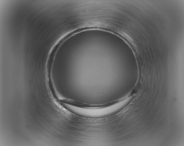 X0000075861120200609291541