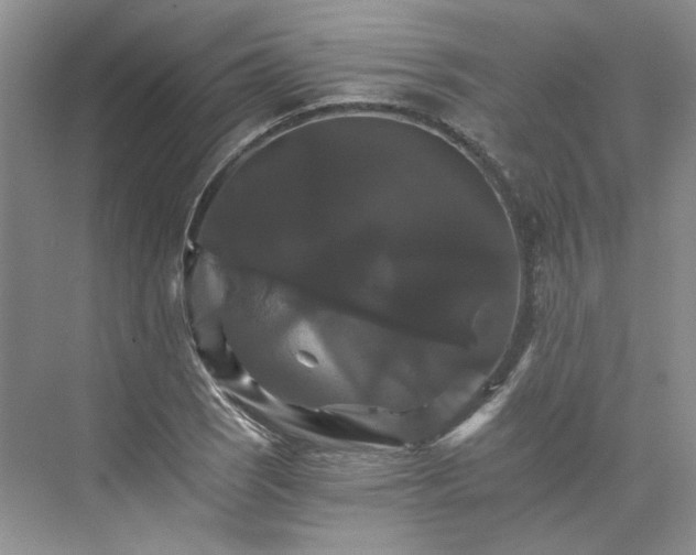 X0000075861121200609291541