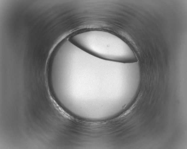 X0000075861122200609291541