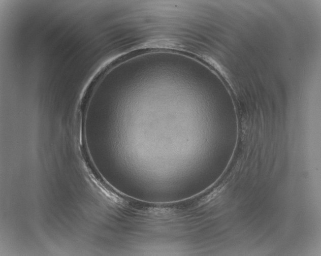 X0000075861123200609291541