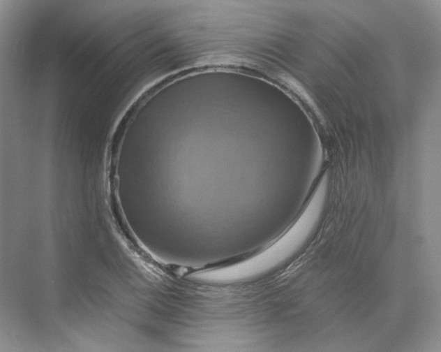 X0000075861124200609291541