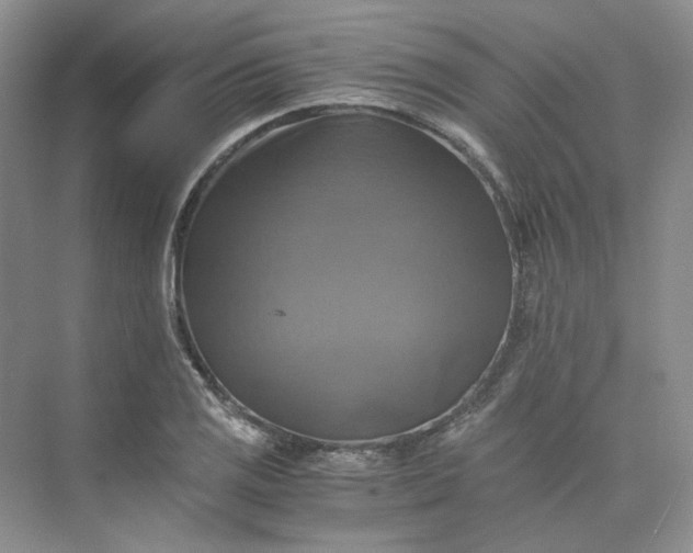 X0000075861125200609291541