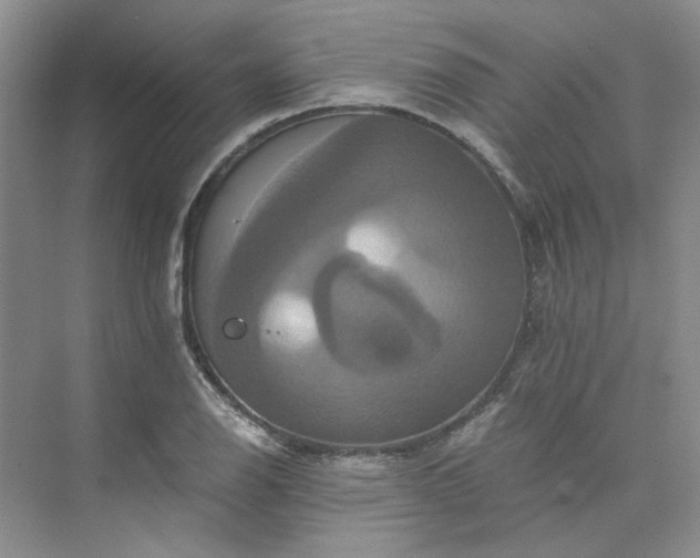 X0000075861126200609291541