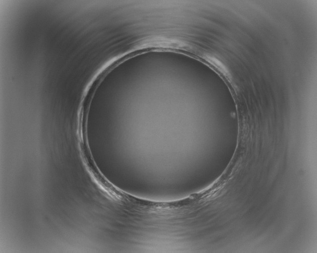 X0000075861128200609291541