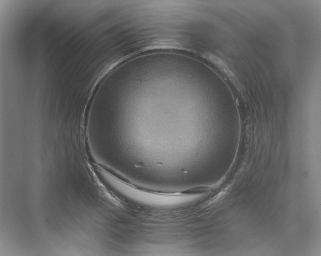 X0000075861129200609291541