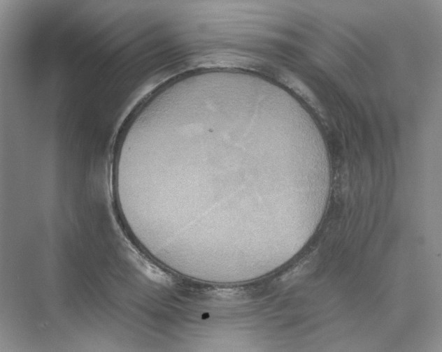 X0000075861130200609291541