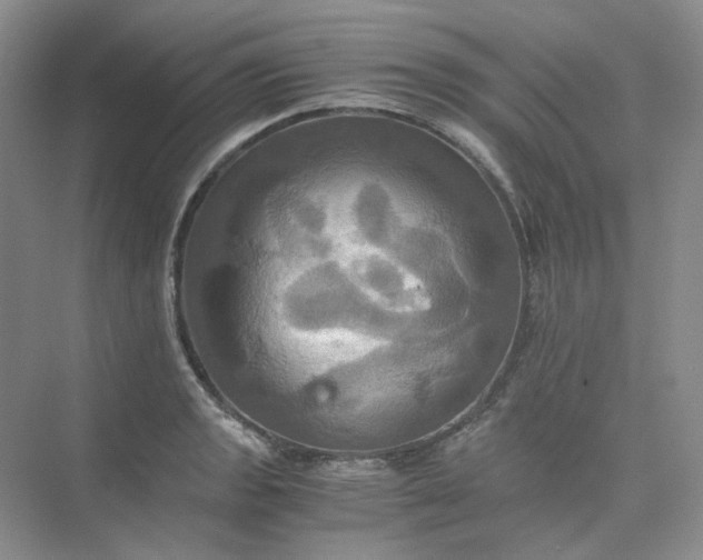 X0000075861133200609291541