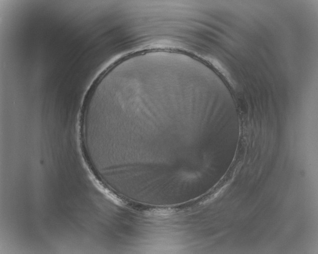 X0000075861134200609291541