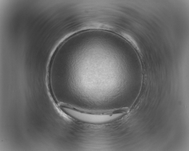 X0000075861136200609291541