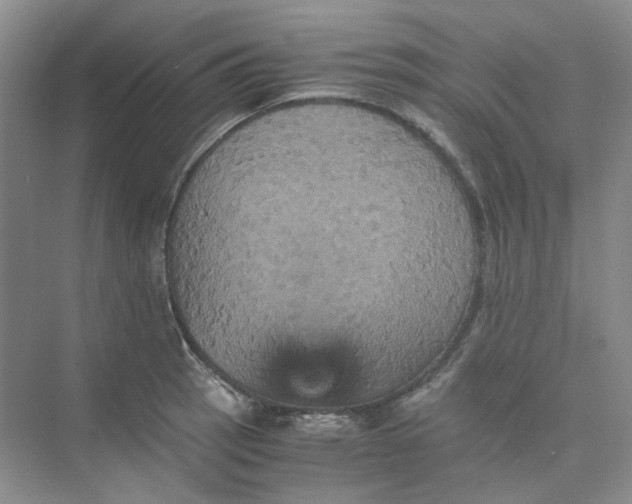 X0000075861137200609291541