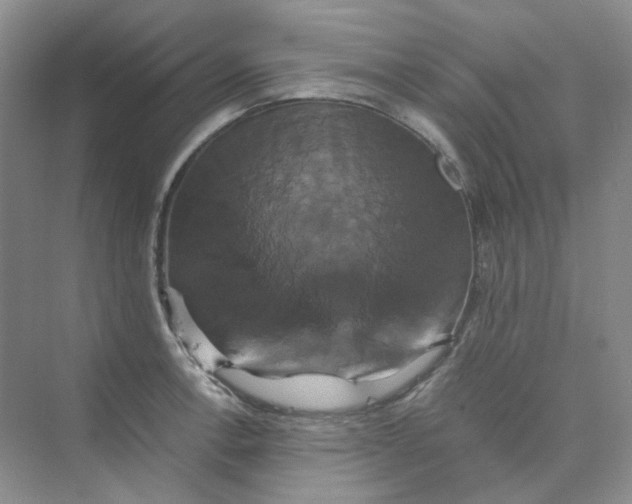 X0000075861138200609291541