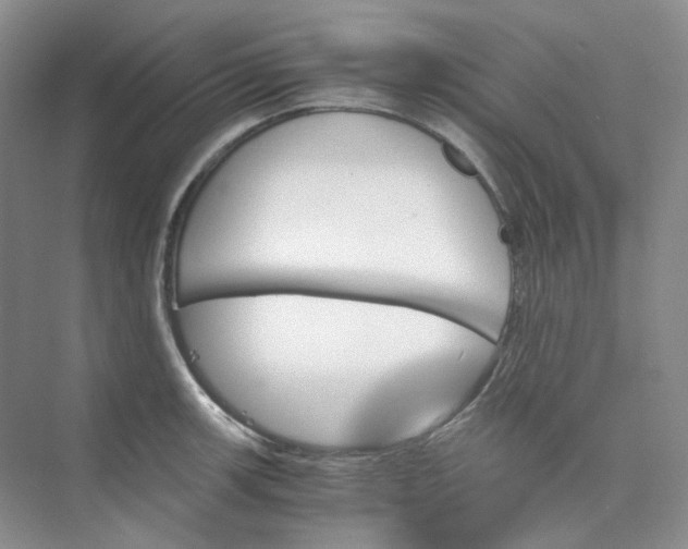 X0000075861139200609291541