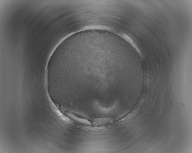 X0000075861140200609291541