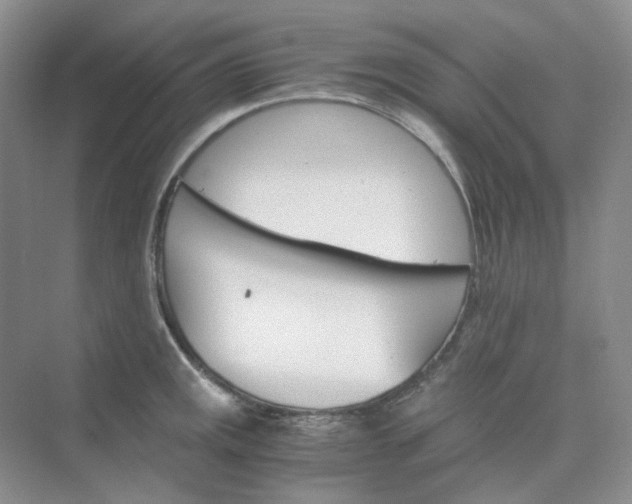 X0000075861141200609291541