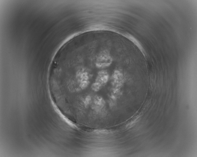 X0000075861142200609291541