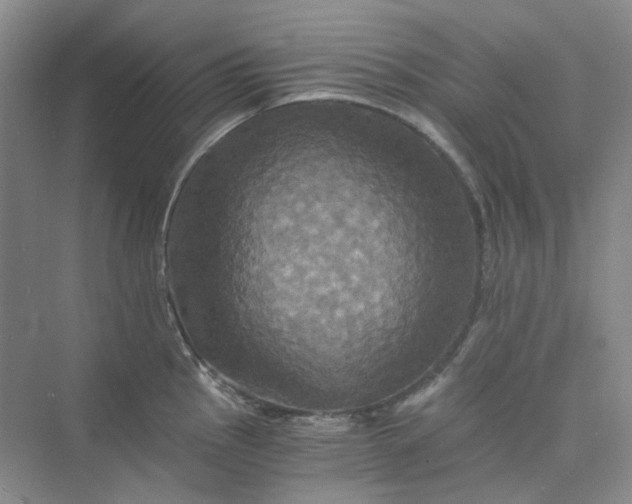 X0000075861145200609291541