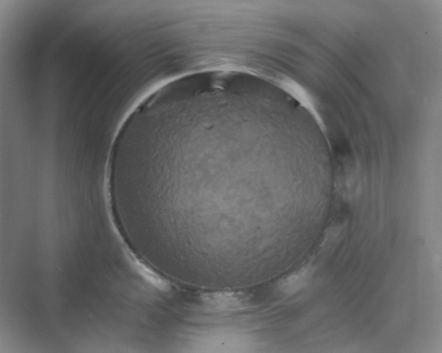 X0000075861149200609291541