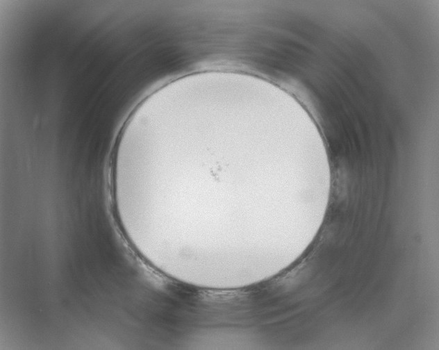 X0000075861150200609291541