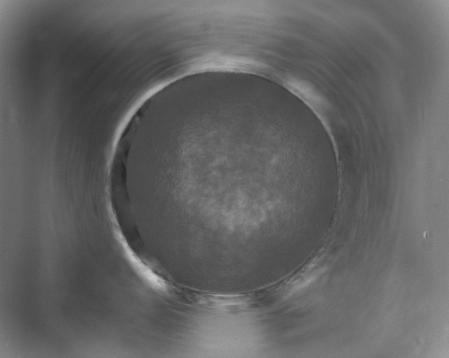 X0000075861152200609291541