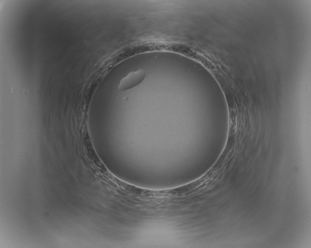 X0000075861157200609291540