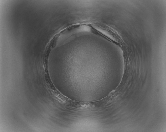 X0000075861160200609291540