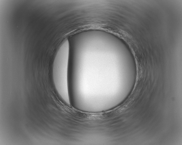 X0000075861161200609291540