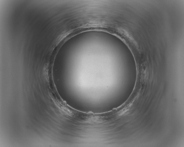 X0000075861162200609291540