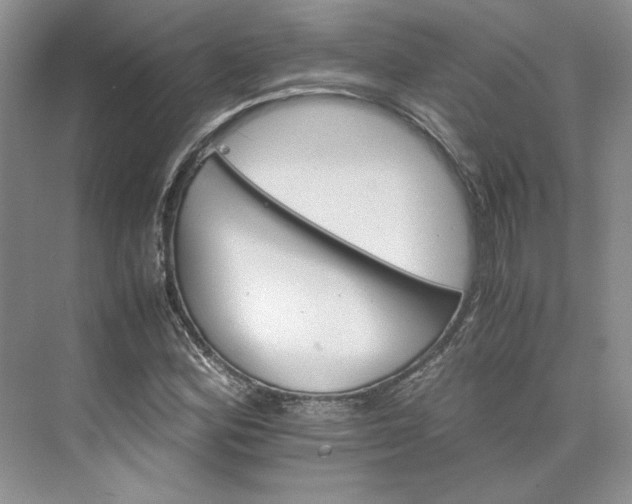 X0000075861164200609291540