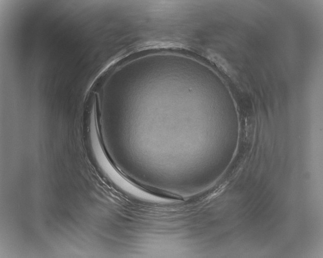 X0000075861165200609291540