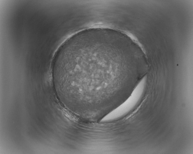 X0000075861167200609291540