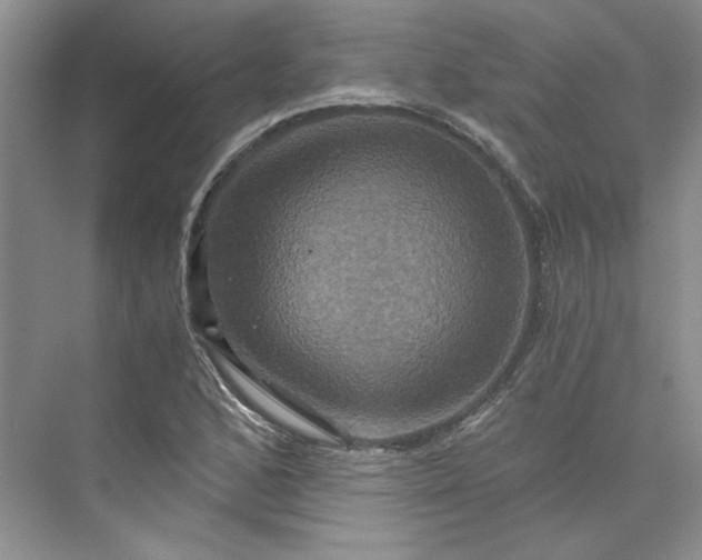 X0000075861168200609291540