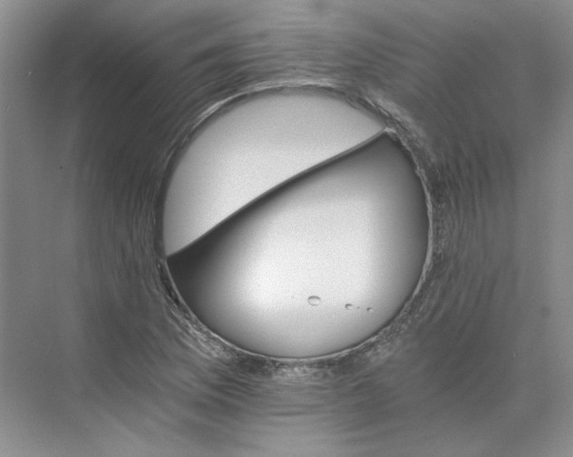 X0000075861169200609291540