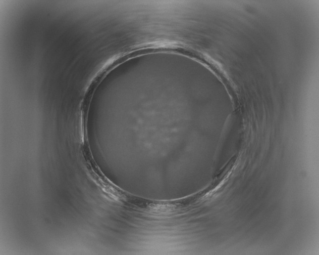 X0000075861171200609291540