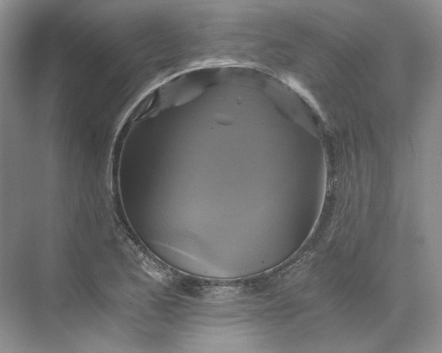 X0000075861173200609291540