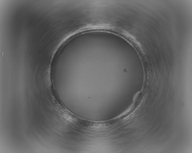 X0000075861174200609291540