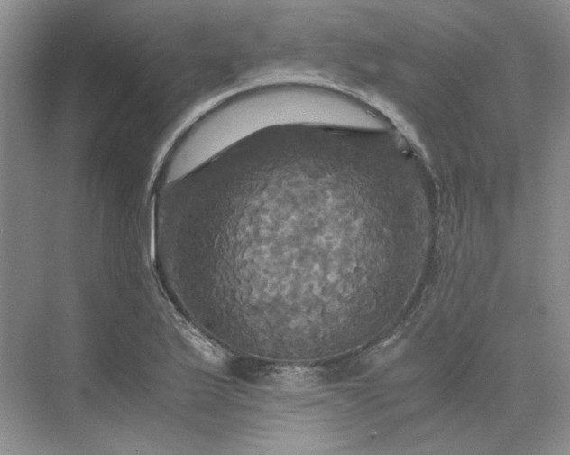 X0000075861175200609291540