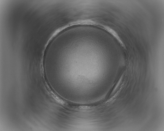 X0000075861176200609291540