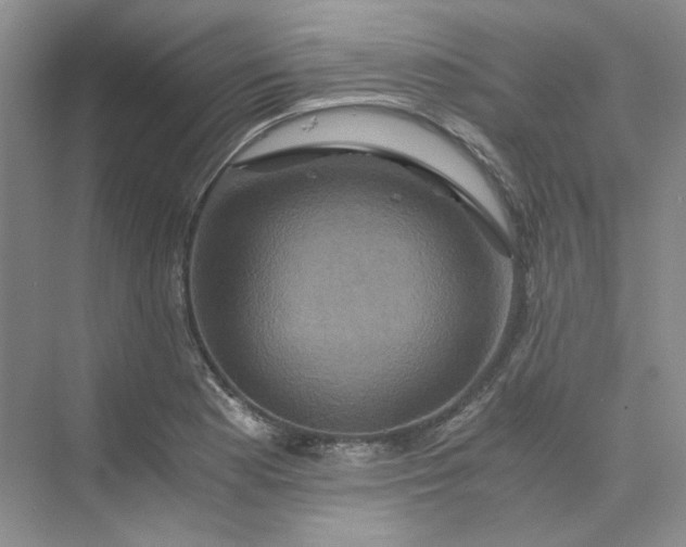 X0000075861177200609291540