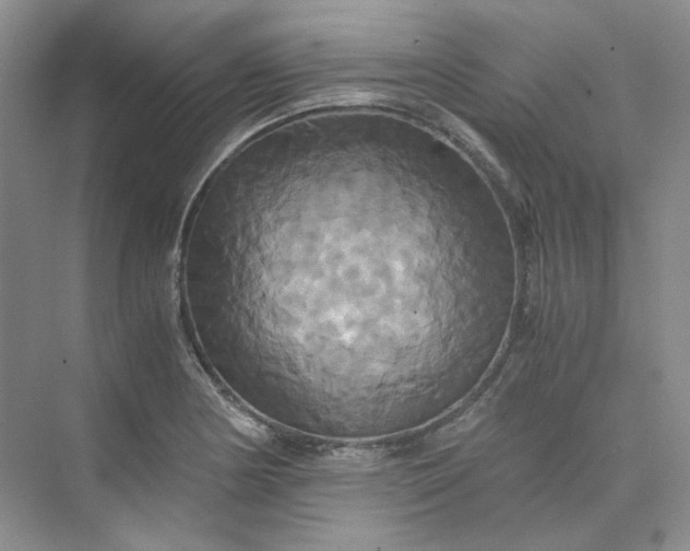 X0000075861178200609291540