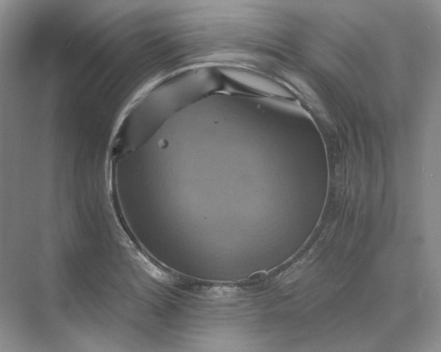 X0000075861180200609291540